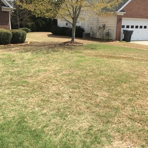 Bush Trimming by Milo’s Lawn &amp; Garden reviewed on August 21, 2025