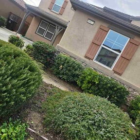 Bush Trimming by B&amp;t lawn servicee reviewed on October 22, 2025