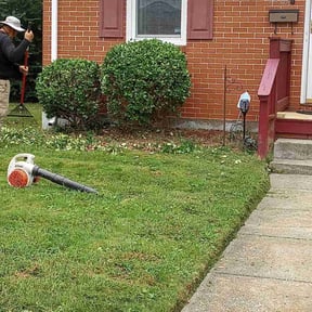 Bush Trimming by Chomp Mowers reviewed on August 16, 2025