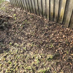 Leaf Removal by Peter Larsen Services reviewed on March 25, 2026