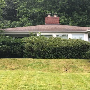 Bush Trimming by Supreme Home Services reviewed on August 19, 2025