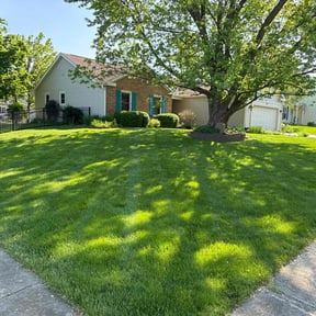 yard work by Joshs lawncare reviewed on August 20, 2025