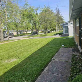 yard work by D&D Reliable Services LLC reviewed on August 20, 2025