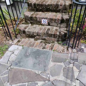 turf maintenance by Hydra Lawn Care and Services reviewed on August 17, 2025