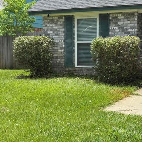 Bush Trimming by Jareds and Co Landscaping reviewed on December 3, 2025