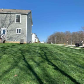 grass cutting by DTE Maintenance Llc reviewed on August 15, 2025
