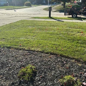 Leaf Removal by Lawn bros reviewed on November 10, 2025