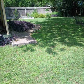 grass maintenance by PerfectCutLawn reviewed on January 31, 2024