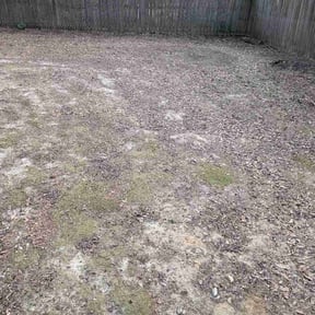 Leaf Removal by Palmetto Lawn &amp; Landscape reviewed on July 7, 2026
