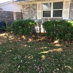 Bush Trimming by C&C landscapes LLC reviewed on August 18, 2025