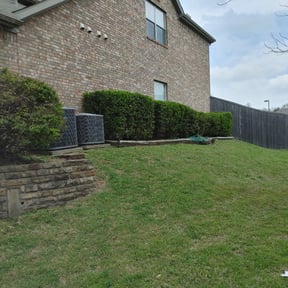 Bush Trimming by Affordable Lawncare reviewed on August 15, 2025