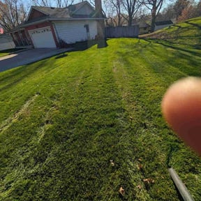 Leaf Removal by RTH Lawn Service &amp; Landscaping LLC reviewed on November 23, 2025