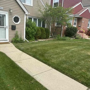 yard care by Deluxe Services by Alberto reviewed on August 20, 2025