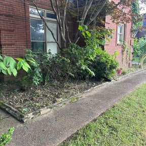 Flower Bed Weeding by Alfas landscaping reviewed on August 16, 2025