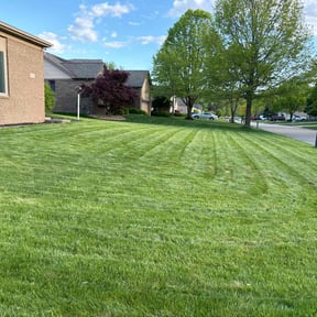grass cutting by Israel Chavez reviewed on August 15, 2025