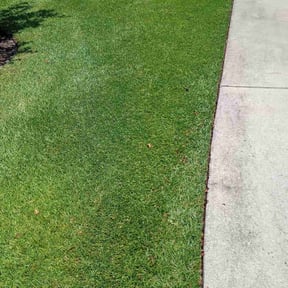 lawn care services by Deal&#039;s Lawn Maintenance reviewed on August 21, 2025