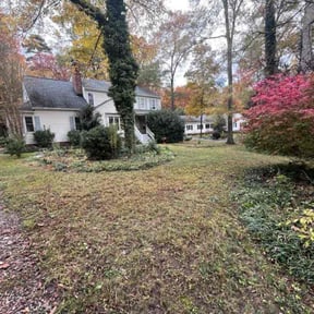 Leaf Removal by Just A Man and A Mower LLC reviewed on November 9, 2025