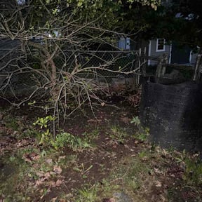 Leaf Removal by Can’t Stop Me Inc. reviewed on June 28, 2026