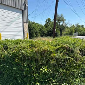 Bush Trimming by Gibbs &amp; Moody Property mgmt reviewed on May 14, 2026