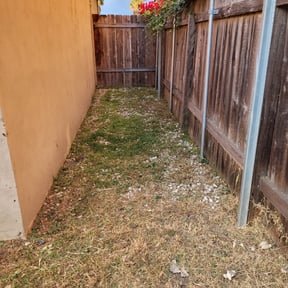 Leaf Removal by Pacific Blu LLC reviewed on September 27, 2025