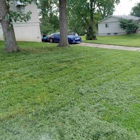 Leaf Removal by Chiappetta  fierro llc reviewed on September 12, 2025