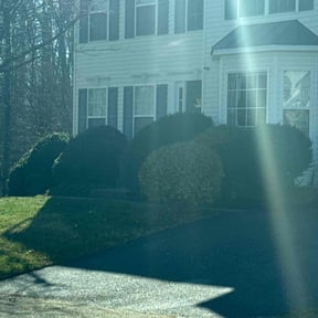 Bush Trimming by Grime Fighter Exterior Cleaning reviewed on March 26, 2024