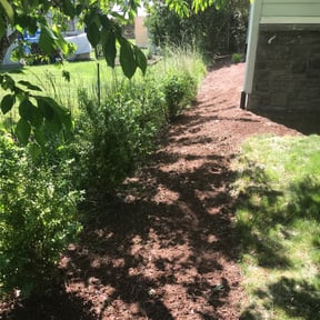 Bush Trimming by PDQ Lawn Service reviewed on August 19, 2025