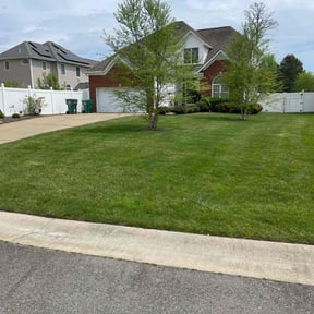 yard maintenance by Vert'z reviewed on August 21, 2025