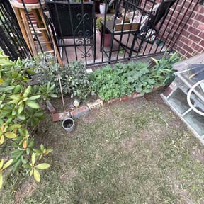 Flower Bed Weeding by Spinelli Scenery Solutions LLC. reviewed on June 20, 2026