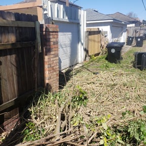 Bush Trimming by A Closer Look Residential Inspections LLC reviewed on August 16, 2025