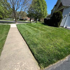 turf care by DC Painters and More reviewed on July 4, 2022