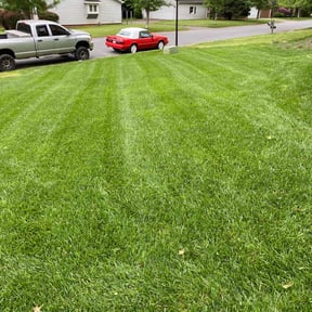 lawn maintenance by JES Lawn Service LLC reviewed on July 3, 2025