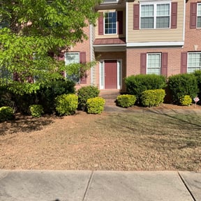 Leaf Removal by Quality lawn pros reviewed on March 29, 2024