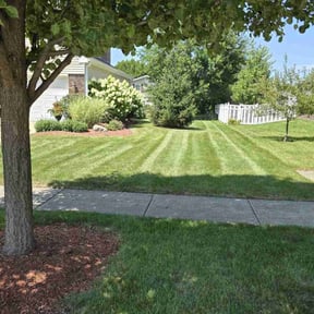 yard maintenance by The Williams reviewed on August 18, 2025