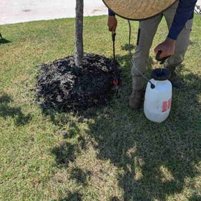 Flower Bed Weeding by Seabreeze Property Service reviewed on July 15, 2026