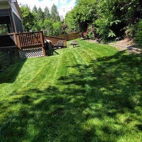 yard care by Blade Scape Pro LLC reviewed on November 19, 2025