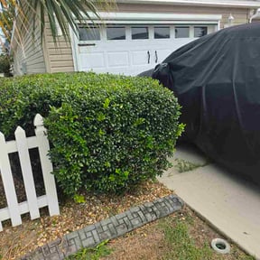 Bush Trimming by Greener Lawn Care LLC. reviewed on August 30, 2026