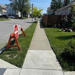 yard service by D's Lawn Sevices reviewed on August 16, 2025