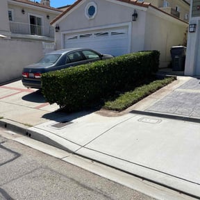 Bush Trimming by Lawn in Order reviewed on August 20, 2025