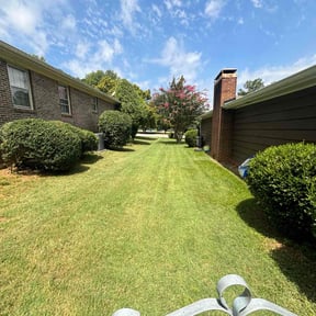 lawn maintenance by Yard-ache reviewed on June 19, 2025