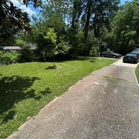 landscape maintenance by Diamonds Landscaping reviewed on August 21, 2025