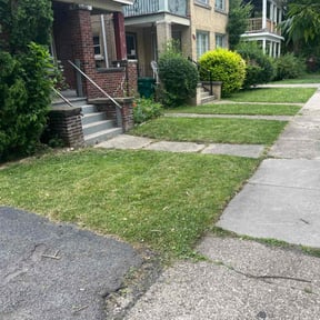 grass maintenance by WB Hardy Lawncare reviewed on November 27, 2024