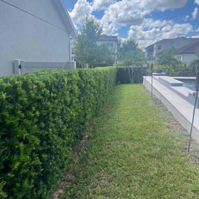 Other by Dominque Wortham reviewed on April 28, 2024