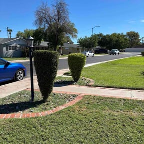 Bush Trimming by Whitetail property restoration reviewed on November 21, 2025