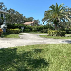 yard care by JJ Trees LLC reviewed on August 15, 2025