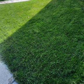 lawn care by CnA Lawn and landscape reviewed on August 19, 2025