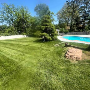 yard work by Nelson’s quick clean reviewed on August 18, 2025