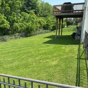 gardening service by Royalty lawn care reviewed on August 17, 2025