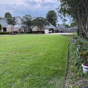 landscaping services by Madera Landscape reviewed on August 16, 2025