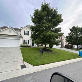 yard work by Beauty of Nature lawncare reviewed on August 15, 2025